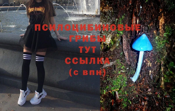 мдпв Михайлов