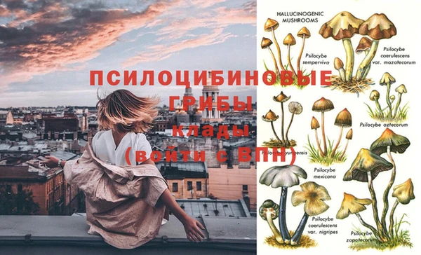 твердый Михайловск