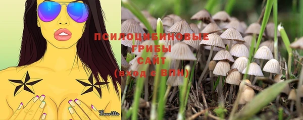мдпв Михайлов