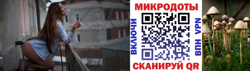 Купить где  Котельниково  Галлюциногенные грибы прущие грибы 